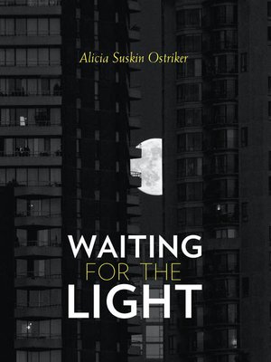 cover image of Waiting for the Light